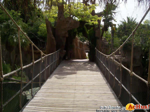 Zoo Fuengirola 38