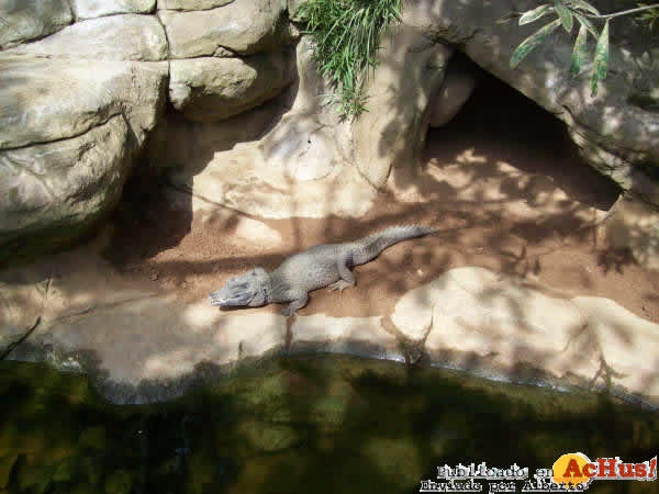 Zoo Fuengirola 45