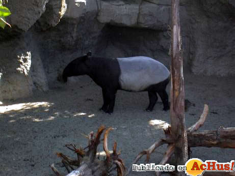 Zoo Fuengirola 49