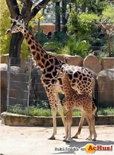 Zoo de Barcelona 02