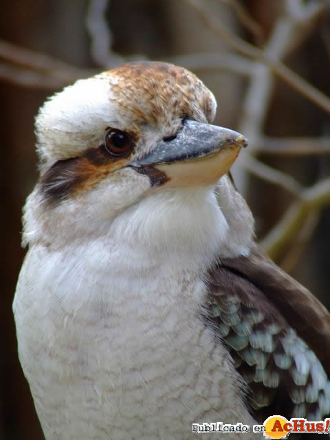 Zoobotanico Jerez 10