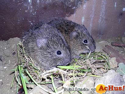 Zoobotanico Jerez 27