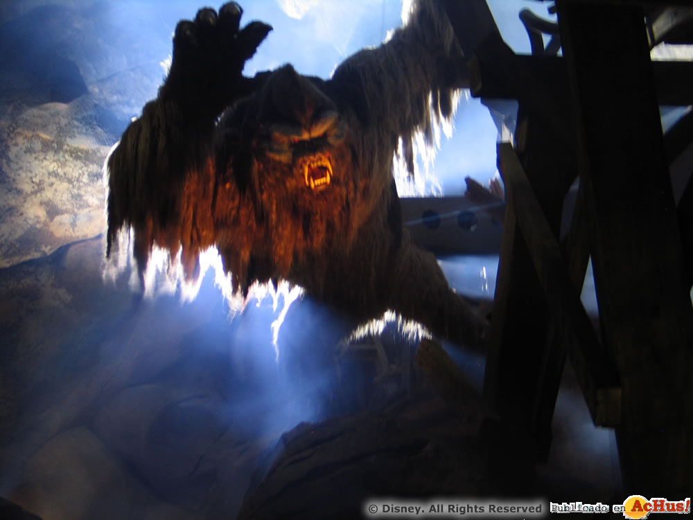 Imagen de Disney´s Animal Kingdom  Expedition Everest 06