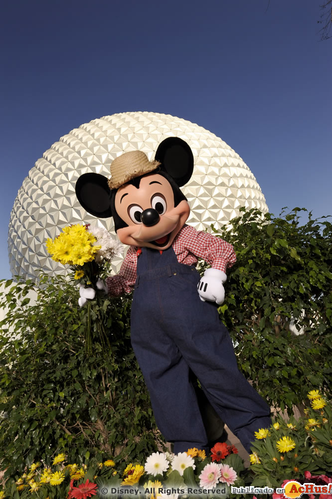 Imagen de Parque Temático Epcot  Mickey