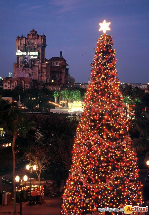 Imagen de Disney Hollywood Studios  Holidays at Disney MGM tudios
