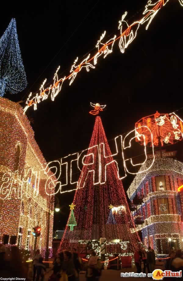 Imagen de Disney Hollywood Studios  Osborne Family Spectacle