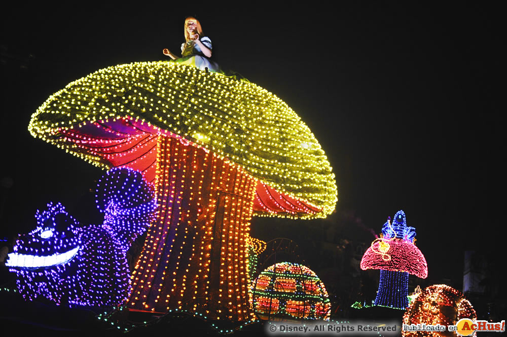 Imagen de Magic Kingdom (Orlando)  ELECTRICAL MAGICAL 002