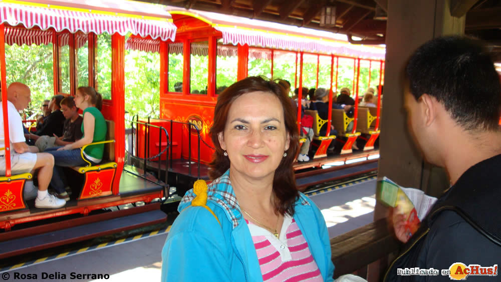 Imagen de Magic Kingdom (Orlando)  Magic Kingdom Rosa Delia 05