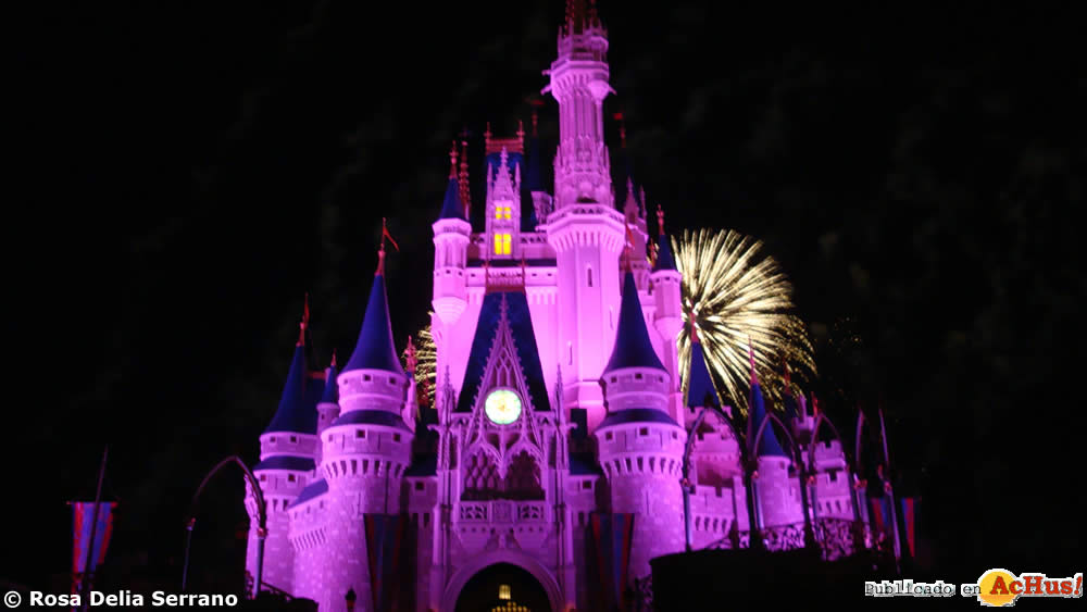 Imagen de Magic Kingdom (Orlando)  Magic Kingdom Rosa Delia 07