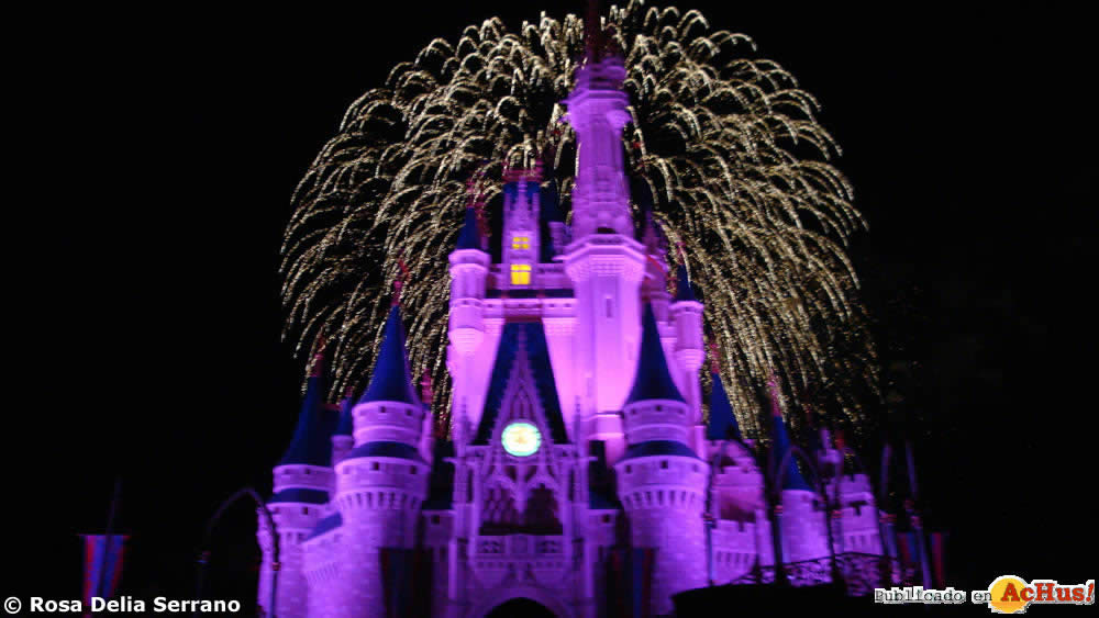 Imagen de Magic Kingdom (Orlando)  Magic Kingdom Rosa Delia 08