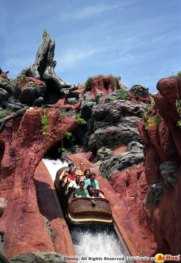 Imagen de Magic Kingdom (Orlando)  SPLASHDOWN