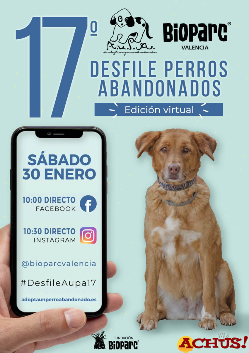 Este sábado día 30, el Desfile de perros abandonados A.U.P.A. y Bioparc será “virtual”