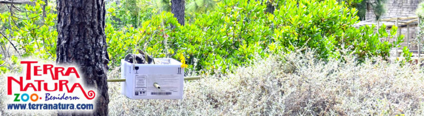 Terra Natura Benidorm lanza una campaña de concienciación para celebrar el Día Mundial de la Educación Ambiental