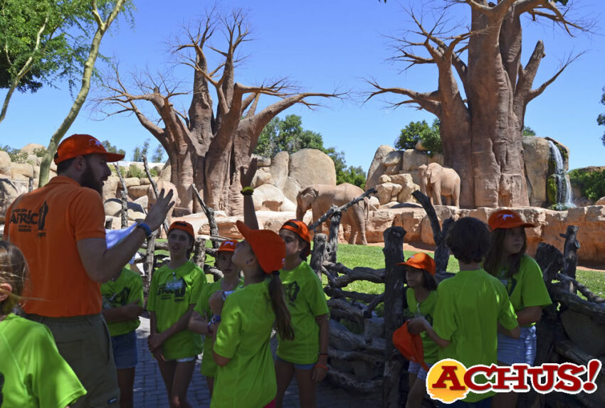 Bioparc Valencia completa las inscripciones de Expedición África de este verano