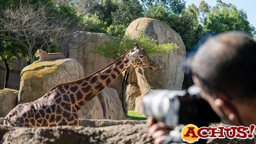 Los Bioparc protagonistas de una docu-serie de Discovery y Mediacrest