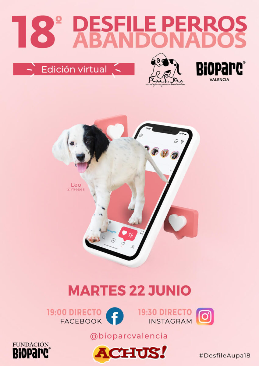 Mañana martes 22 de junio, edición virtual del Desfile de perros abandonados A.U.P.A y Bioparc Valencia 