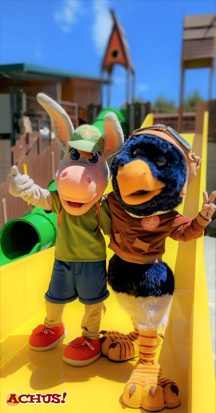 Sendaviva estrena este verano dos nuevas atracciones acuáticas: ‘Roko Urtsua’ y ‘Splash’