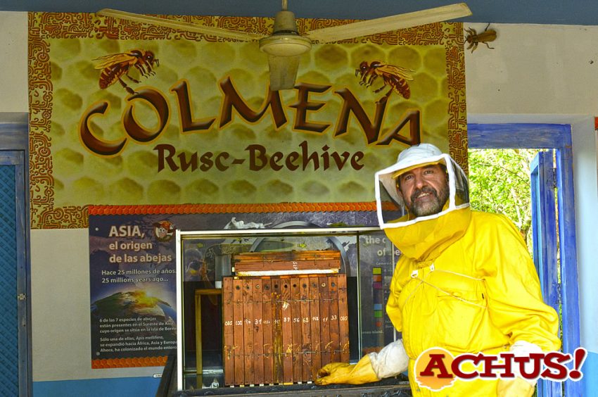 Terra Natura Benidorm alerta de la pérdida de biodiversidad debido a la desaparición de las abejas 