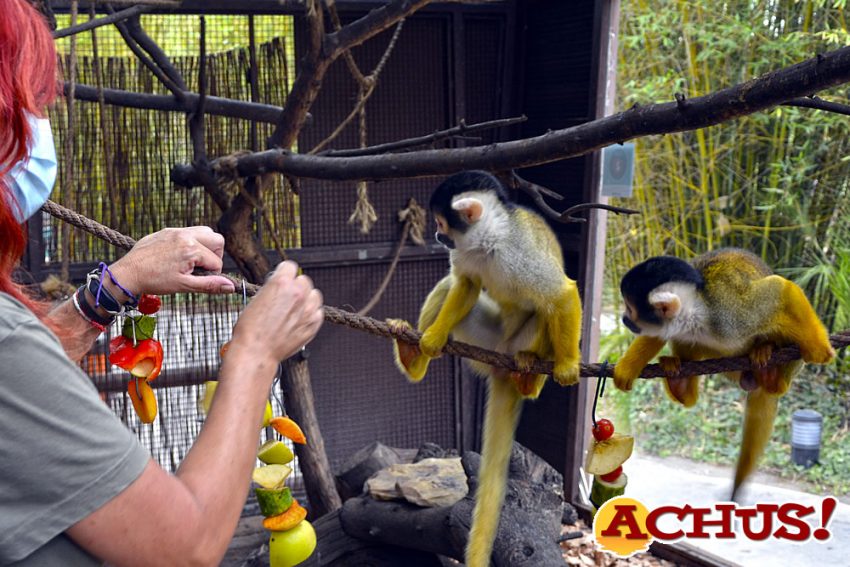 Terra Natura Benidorm activa el protocolo de prevención para los animales contra la ola de calor