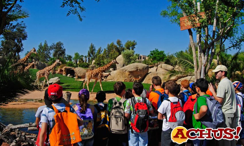 La oferta escolar de Bioparc Valencia para el nuevo curso es “en tu aula o en la mía”