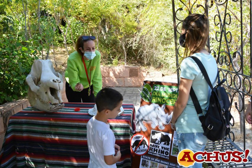 Terra Natura Benidorm advierte del peligro de extinción del rinoceronte indio en el Día Mundial del Rinoceronte
