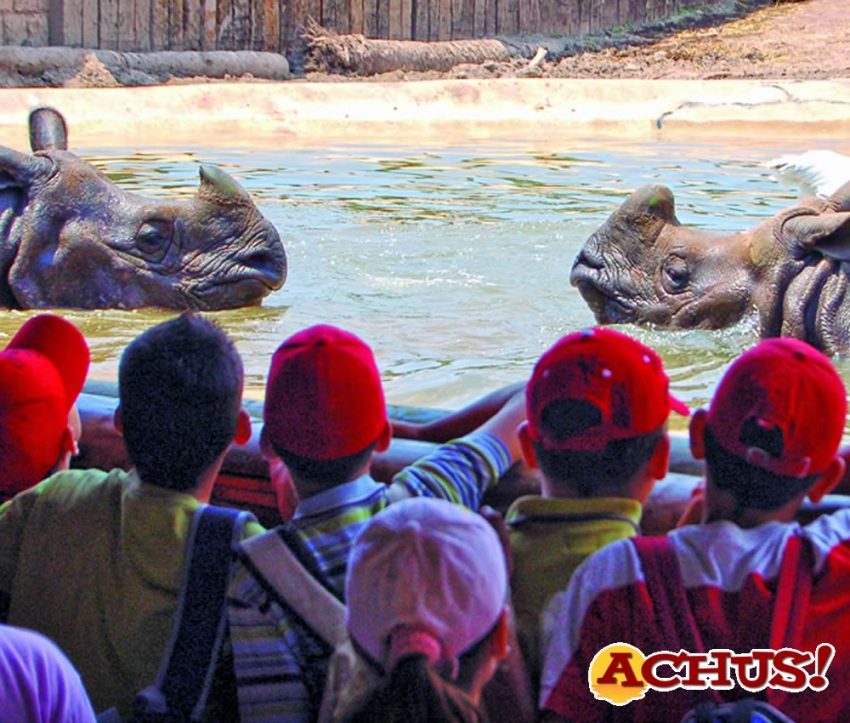 Terra Natura Benidorm trasforma su programa educativo con una herramienta interactiva para los docentes de la Comunidad Valenciana