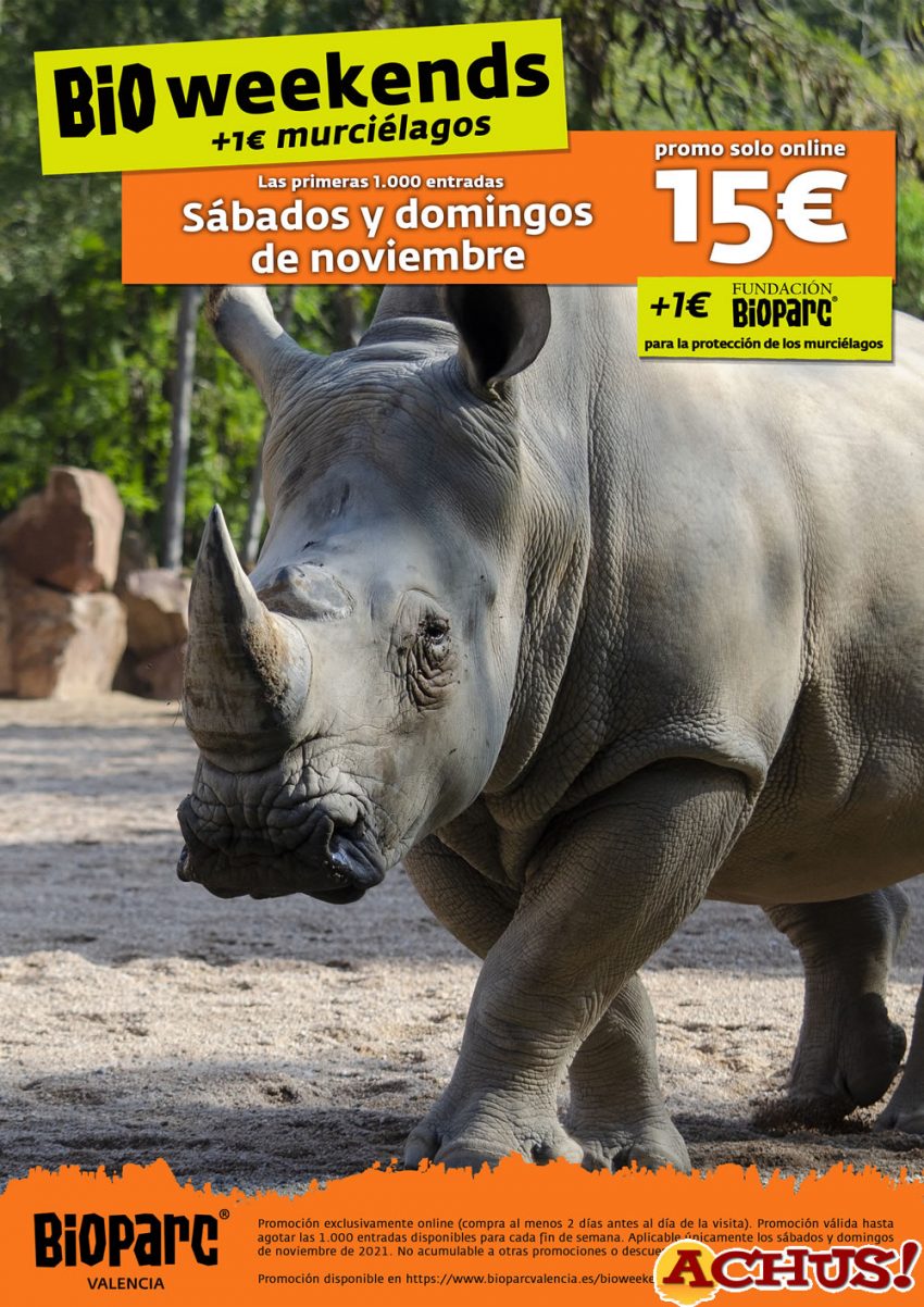 Noviembre “con causa” con los BIOweekend de Bioparc Valencia