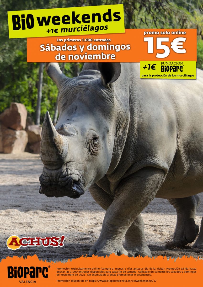 Último fin de semana para aprovechar los BIOweekends de Bioparc Valencia