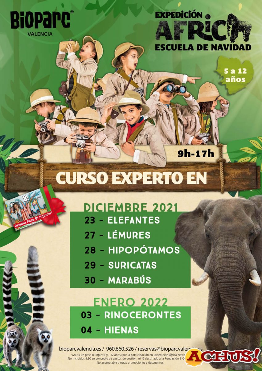 Últimas plazas para “Expedición África” Navidad  de Bioparc Valencia