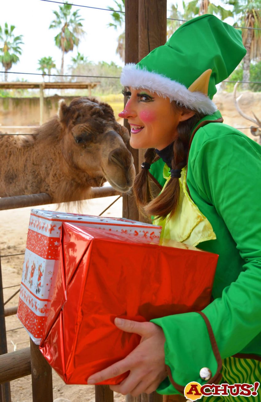 Los elfos de Papá Noel se adelantan y dejan los primeros regalos a los animales de Terra Natura Benidorm.
