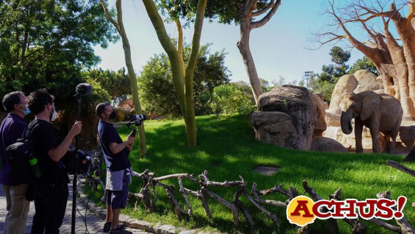 À Punt estrena una docu-serie con los Bioparc como protagonistas