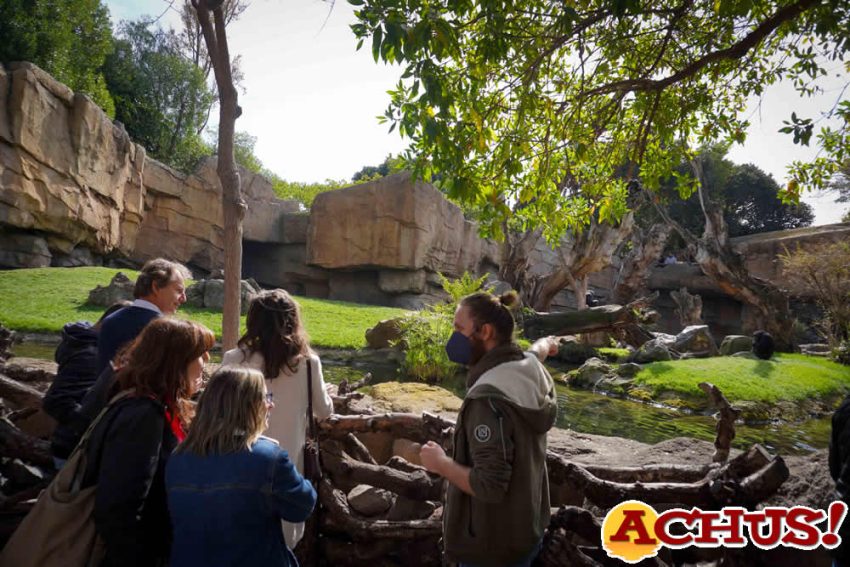 Bioparc Valencia acoge las jornadas de formación de técnicos de la UE 