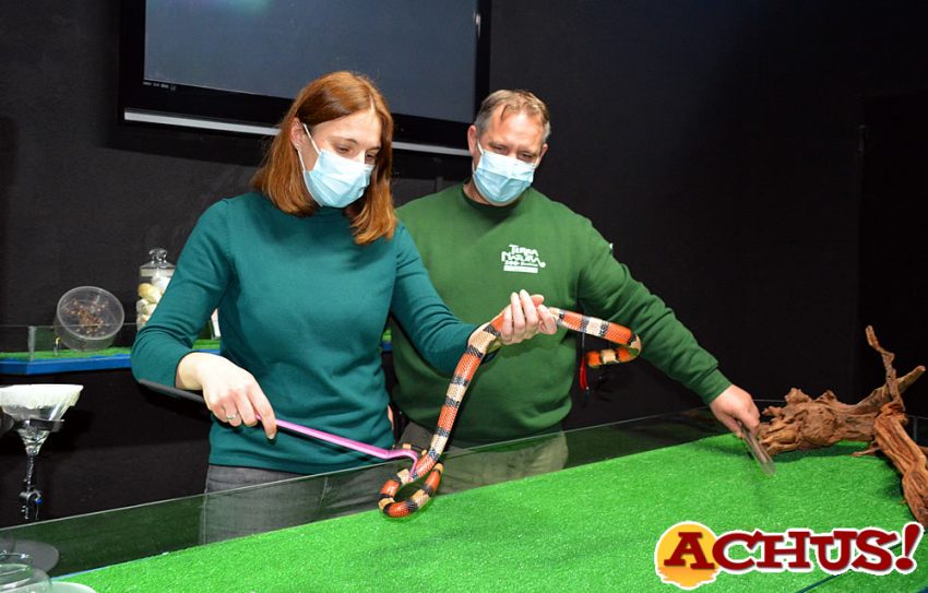 Los herpetólogos de Terra Natura Benidorm diseñan una nueva experiencia para conocer mejor a los reptiles 
