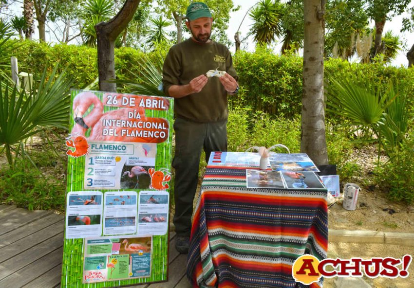 El modelo de igualdad de los flamencos protagoniza una charla divulgativa organizada en Terra Natura Benidorm
