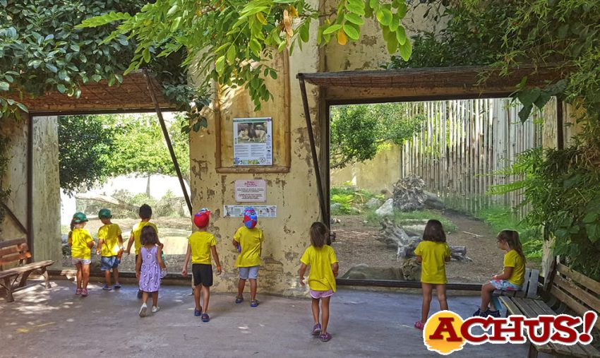 Terra Natura Benidorm retoma su Escuela de Verano con una amplia propuesta lúdico-educativa 