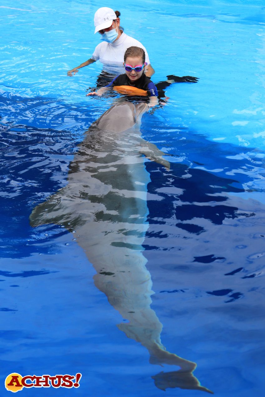 La Fundación Mundomar inicia una nueva temporada de terapia con delfines