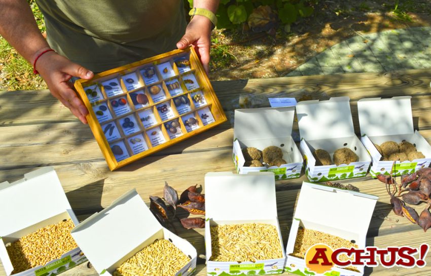 Terra Natura Benidorm se suma al Día Mundial de la Biodiversidad con talleres y juegos de la polinización