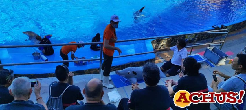 Mundomar imparte el primer curso de formación en el rescate y asistencia de animales para bomberos