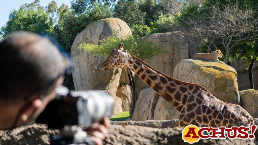 La docu-serie de los Bioparc finalista a los Premios Iris de la Academia de Televisión