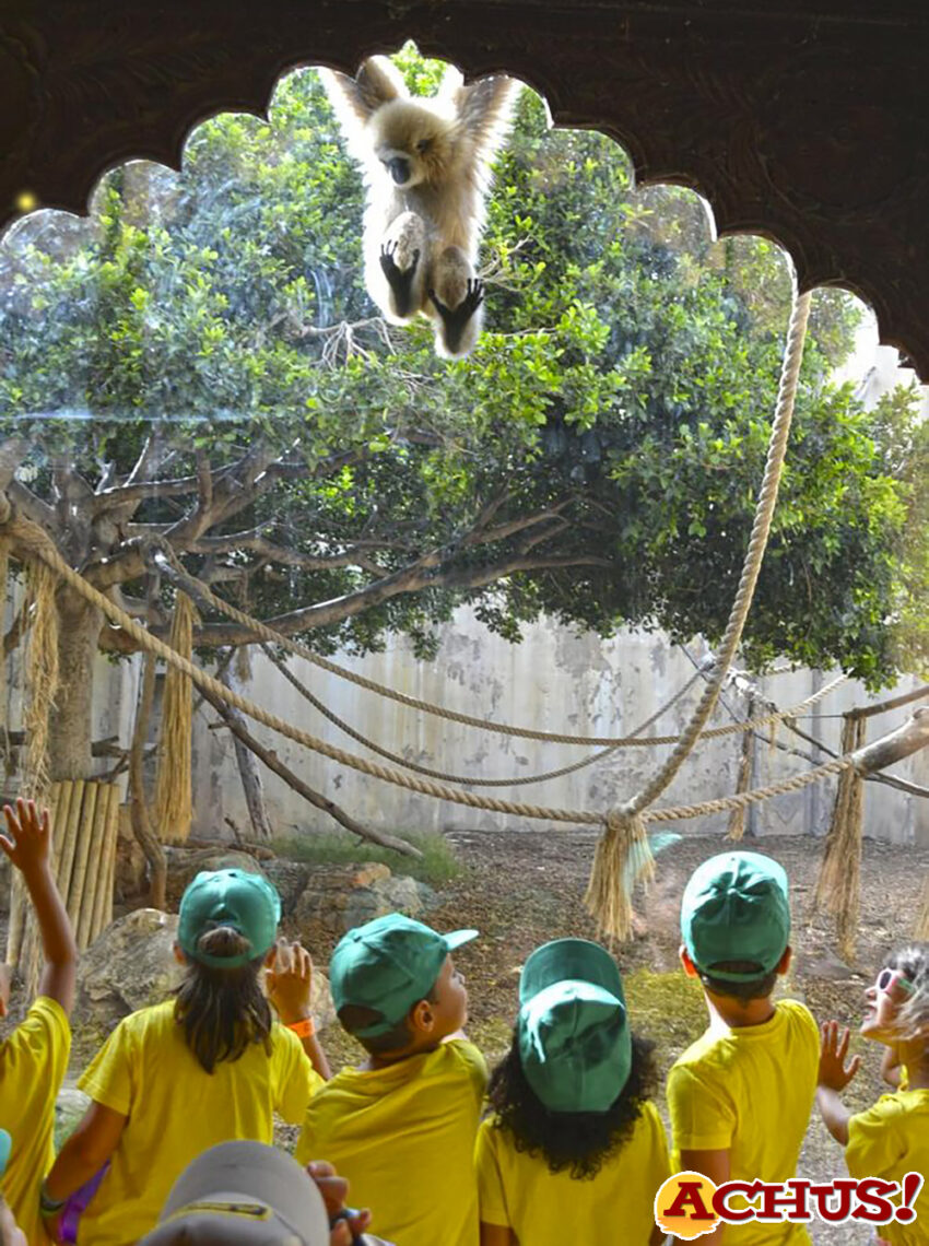 Un juego interactivo protagoniza la oferta educativa de Terra Natura Benidorm para el próximo curso