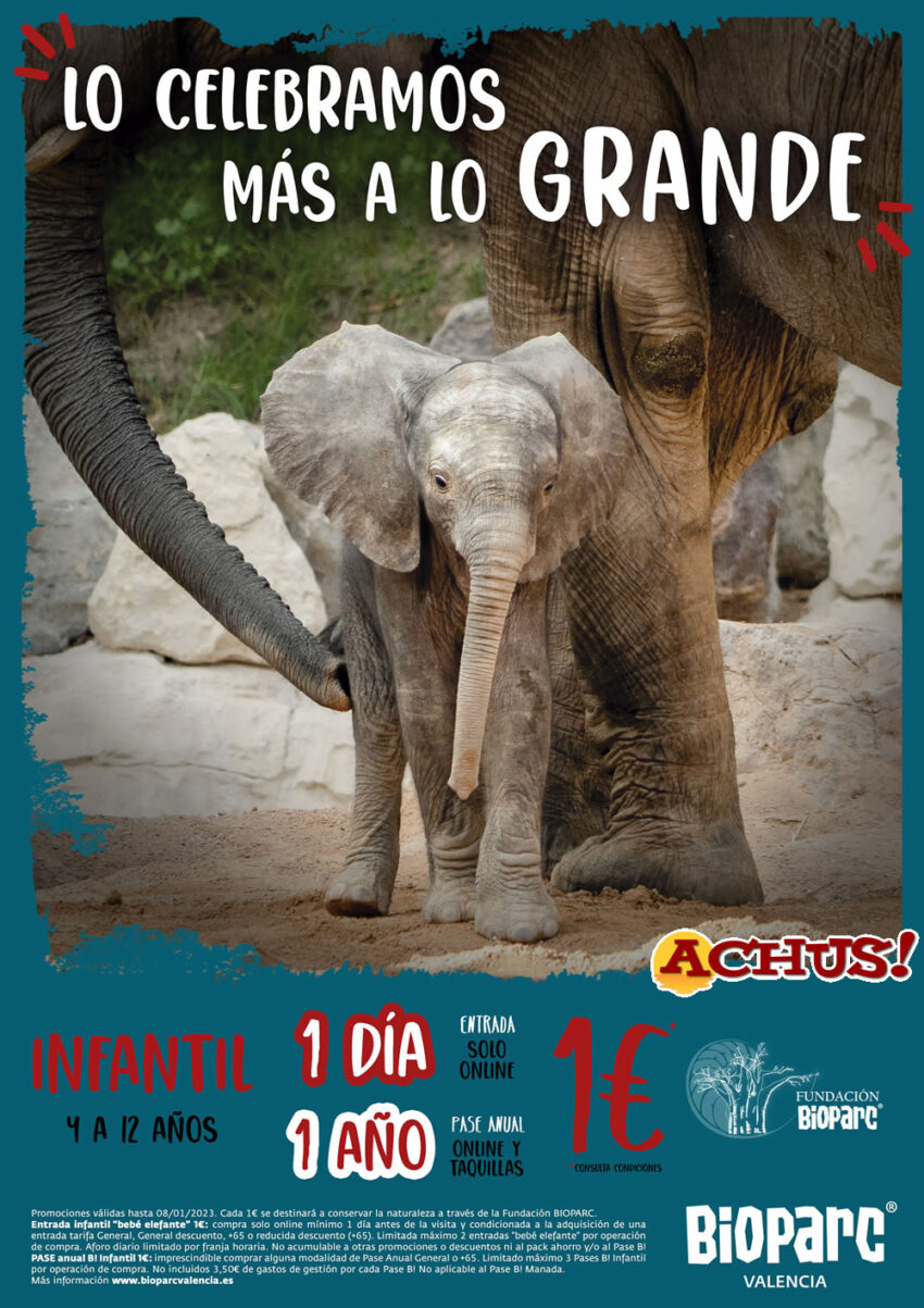 Bioparc Valencia celebra una Navidad “más a lo grande”