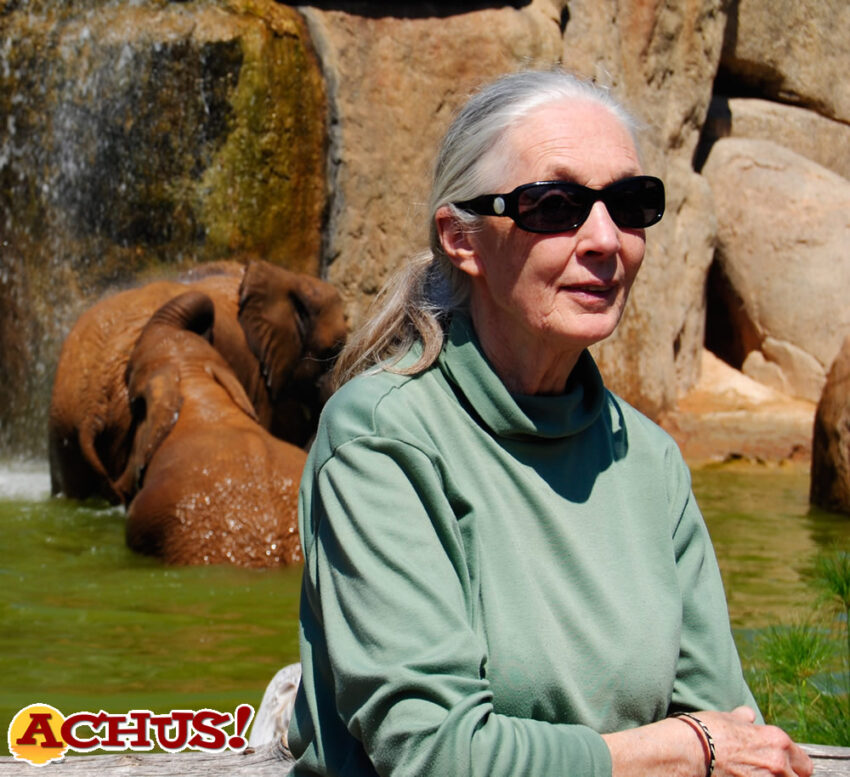 Los Bioparc conmemoran el Día Internacional de la Mujer y la Niña en la Ciencia