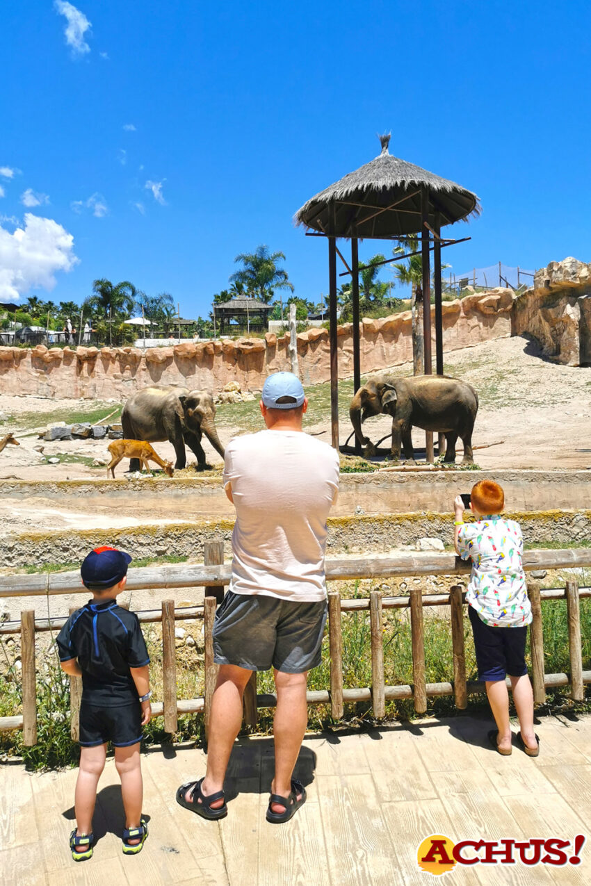 Terra Natura Benidorm lanza su nueva campaña con la mirada puesta en la biodiversidad 