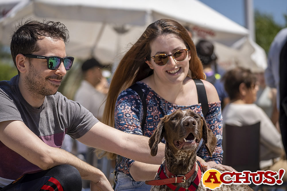 Emoción y esperanza de finales felices en el 22º Desfile de perros AUPA-BIOPARC 
