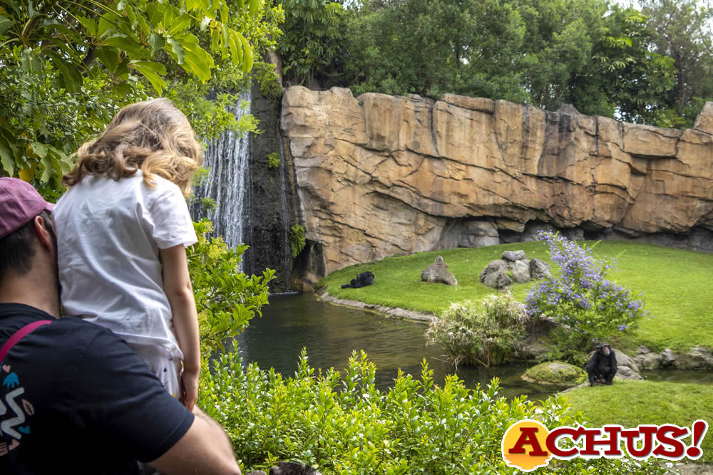 Bioparc celebra 50 aniversario del Día Mundial del Medio Ambiente