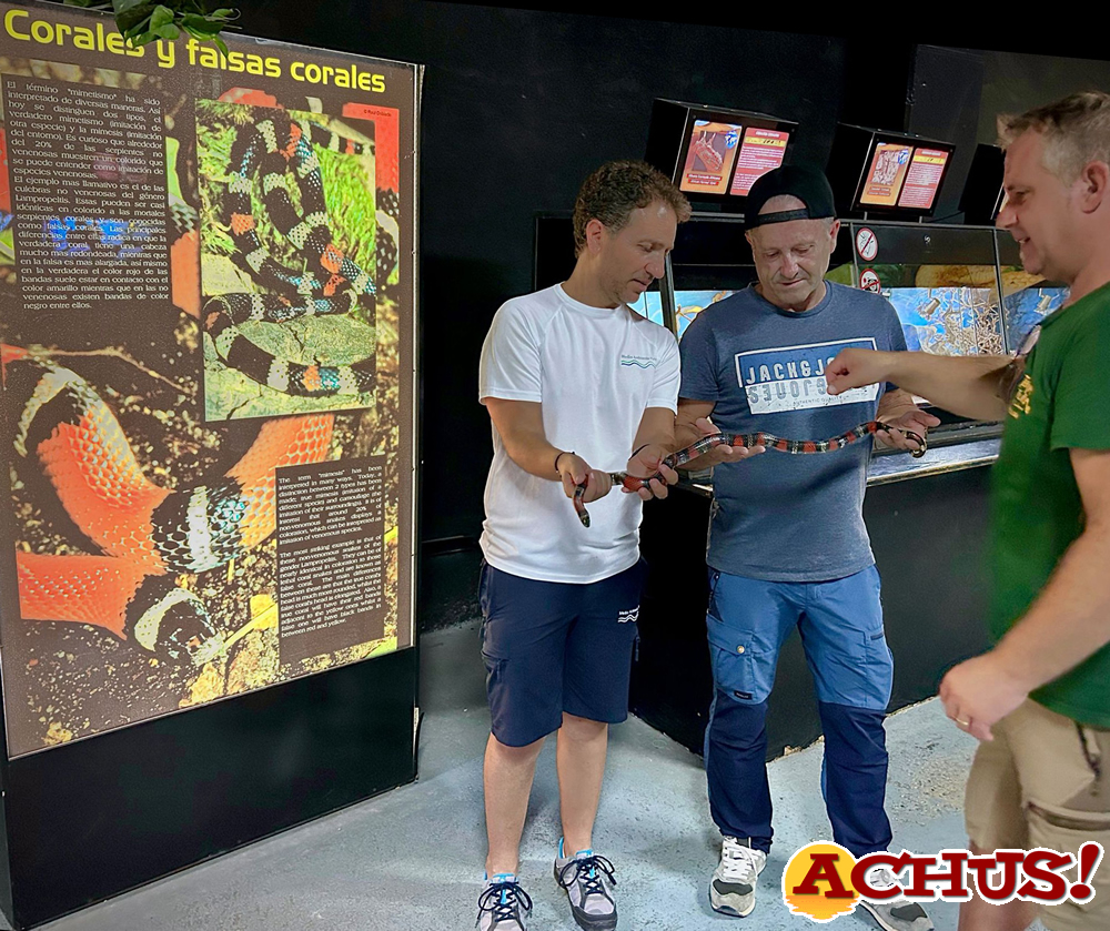 Terra Natura Benidorm acoge una serpiente de un metro de longitud rescatada por el Ayuntamiento de Pinoso.