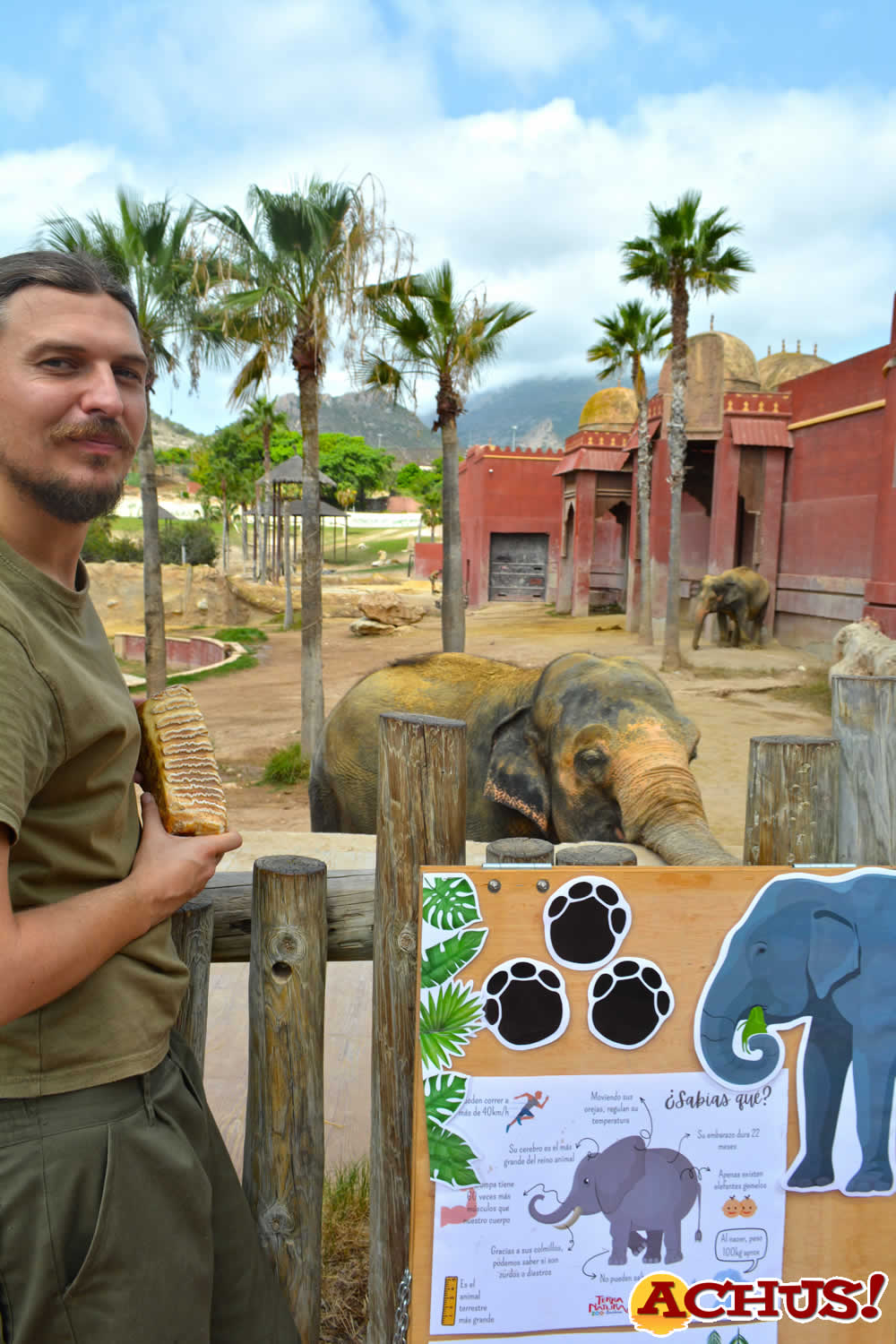 Terra Natura Benidorm alerta del peligro de conservación que sufre el elefante asiático con motivo del Día Mundial del Elefante