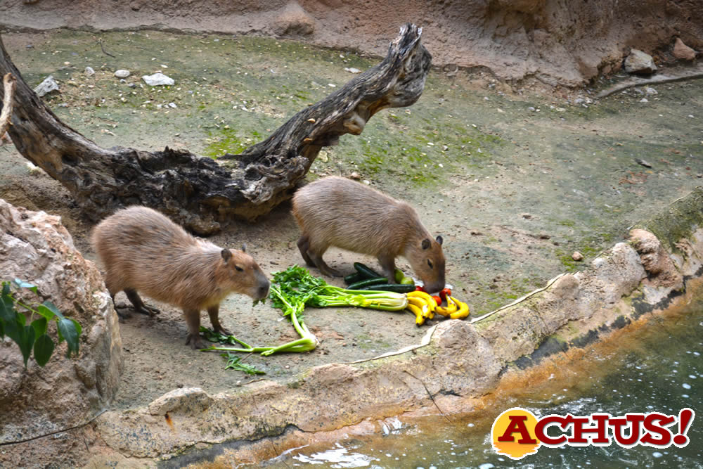 El conocimiento de la biodiversidad conecta la oferta educativa de Terra Natura Benidorm para este nuevo curso