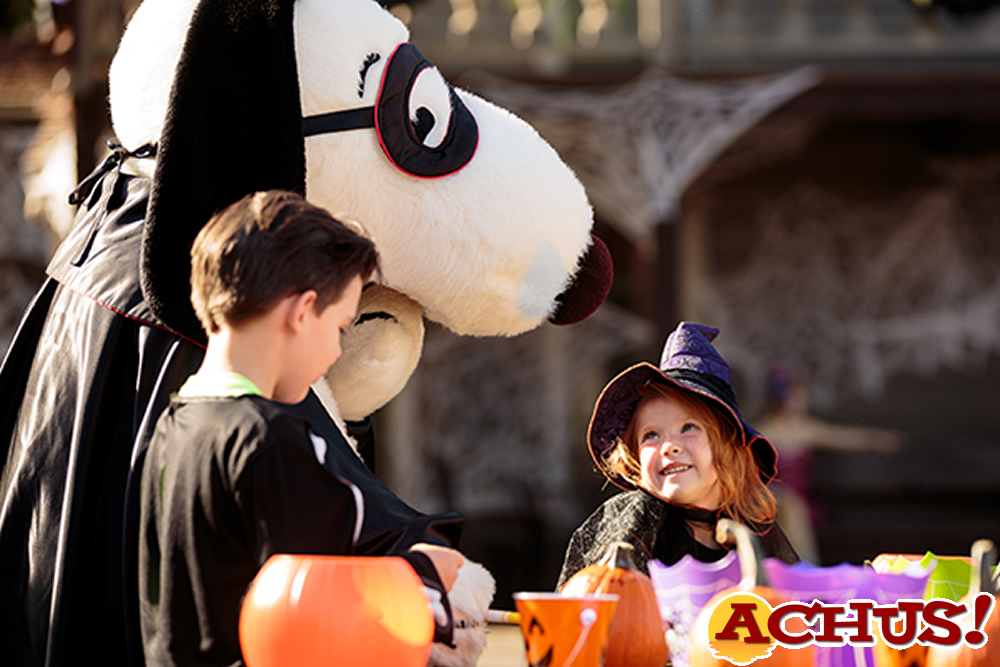 Canada's Wonderland inicia la temporada de Halloween de 2023 con tres nuevos laberintos en Haunt y diversión apta para niños en Camp Spooky