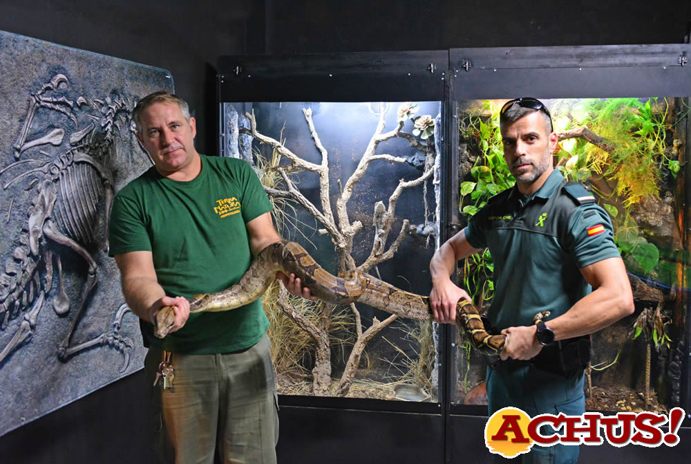 Terra Natura Benidorm acoge a una boa constrictor que había sido incautada por el SEPRONA 